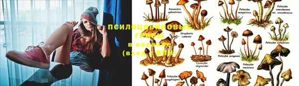 мефедрон мука Майский