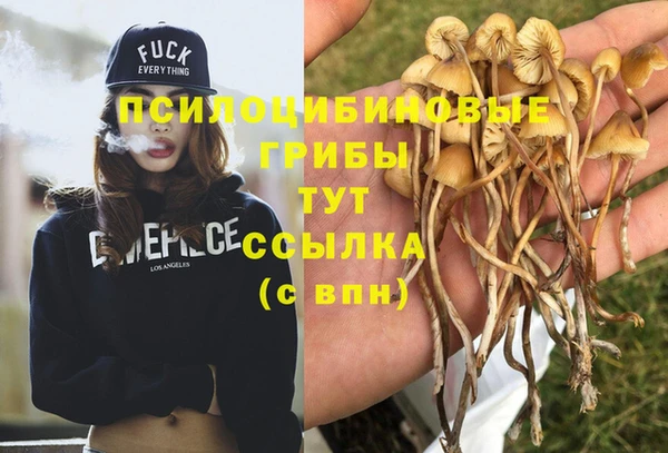 стафф Магас