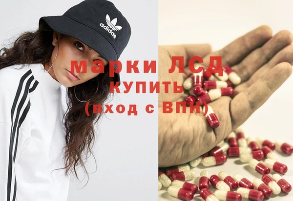шишки Аша