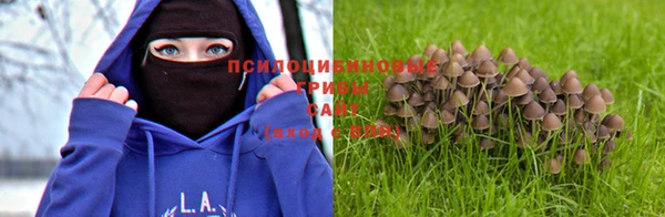 стафф Магас