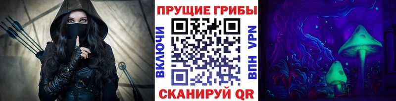 Галлюциногенные грибы GOLDEN TEACHER кракен онион Чадан купить наркотики сайты